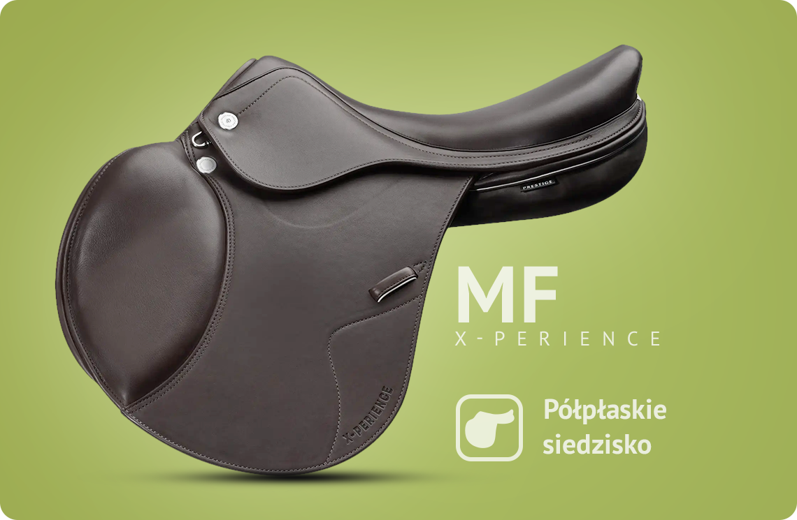 Landing-Page-X-PerienceMF